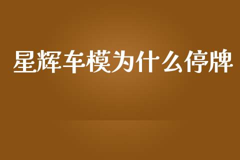 星辉车模为什么停牌_https://www.fsyjjx.cn_期货研报_第1张