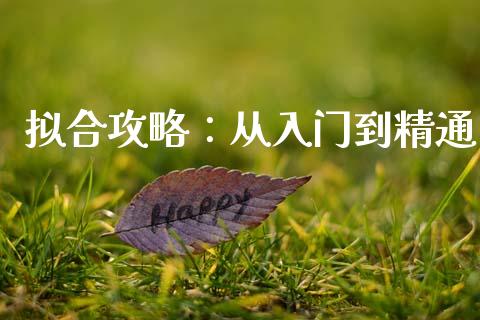 拟合攻略：从入门到精通_https://www.fsyjjx.cn_理财资讯_第1张