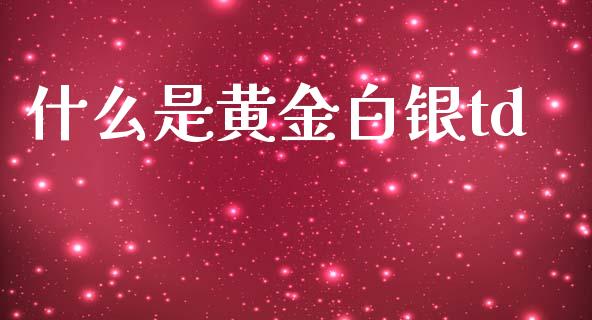 什么是黄金白银td_https://www.fsyjjx.cn_股市分析_第1张