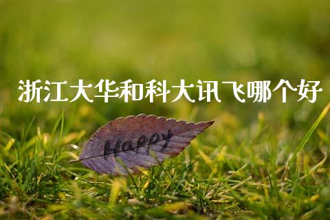 浙江大华和科大讯飞哪个好_https://www.fsyjjx.cn_问财精选_第1张