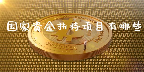 国家资金扶持项目有哪些_https://www.fsyjjx.cn_理财资讯_第1张