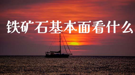 铁矿石基本面看什么_https://www.fsyjjx.cn_期货研报_第1张