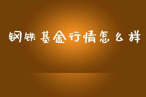 钢铁基金行情怎么样_https://www.fsyjjx.cn_期货研报_第1张