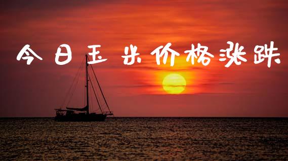今日玉米价格涨跌_https://www.fsyjjx.cn_期货资讯_第1张