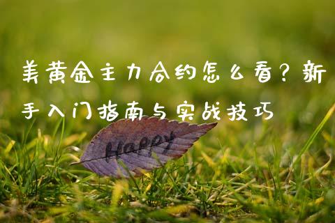 美黄金主力合约怎么看？新手入门指南与实战技巧_https://www.fsyjjx.cn_股指期货_第1张