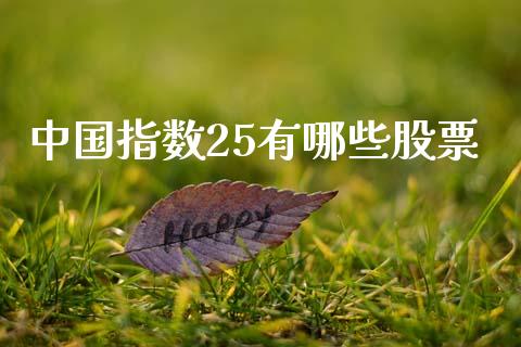 中国指数25有哪些股票_https://www.fsyjjx.cn_股指期货_第1张