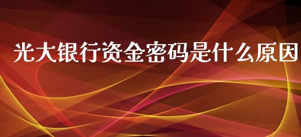 光大银行资金密码是什么原因_https://www.fsyjjx.cn_股市分析_第1张