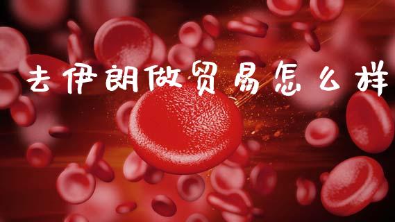 去伊朗做贸易怎么样_https://www.fsyjjx.cn_期货资讯_第1张
