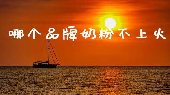哪个品牌奶粉不上火_https://www.fsyjjx.cn_期货研报_第1张