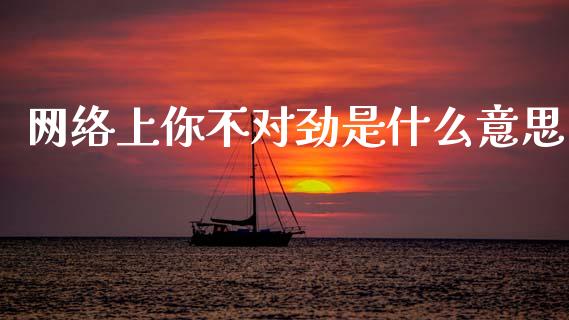 网络上你不对劲是什么意思_https://www.fsyjjx.cn_期货在线_第1张