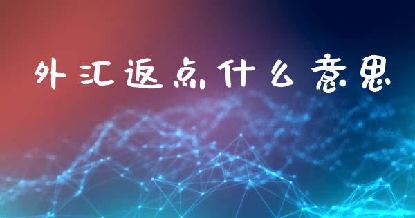 外汇返点什么意思_https://www.fsyjjx.cn_理财资讯_第1张