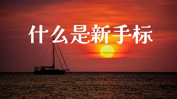 什么是新手标_https://www.fsyjjx.cn_股票指导_第1张