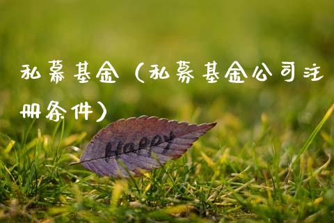 私幕基金（私募基金公司注册条件）_https://www.fsyjjx.cn_理财资讯_第1张