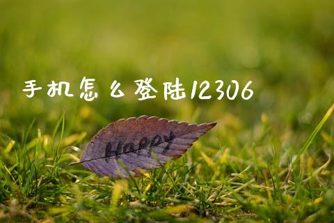 手机怎么登陆12306_https://www.fsyjjx.cn_理财资讯_第1张