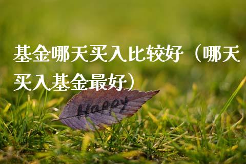 基金哪天买入比较好（哪天买入基金最好）_https://www.fsyjjx.cn_问财精选_第1张