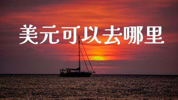 美元可以去哪里_https://www.fsyjjx.cn_股指期货_第1张