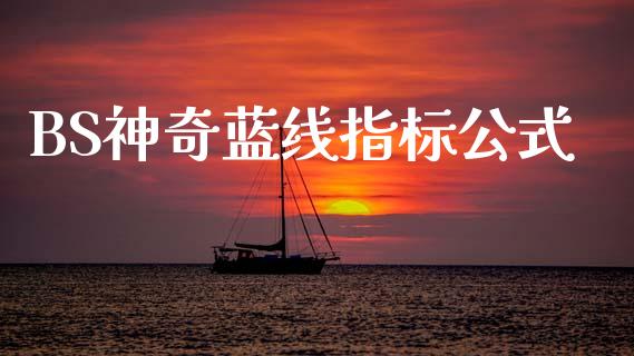 BS神奇蓝线指标公式_https://www.fsyjjx.cn_期货资讯_第1张