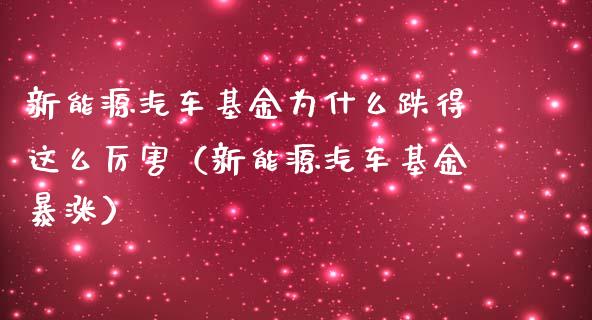 新能源汽车基金为什么跌得这么厉害（新能源汽车基金暴涨）_https://www.fsyjjx.cn_理财资讯_第1张