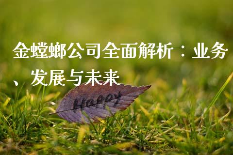 金螳螂公司全面解析：业务、发展与未来_https://www.fsyjjx.cn_股市分析_第1张