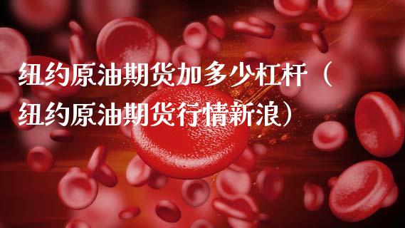 纽约原油期货加多少杠杆（纽约原油期货行情新浪）_https://www.fsyjjx.cn_期货资讯_第1张