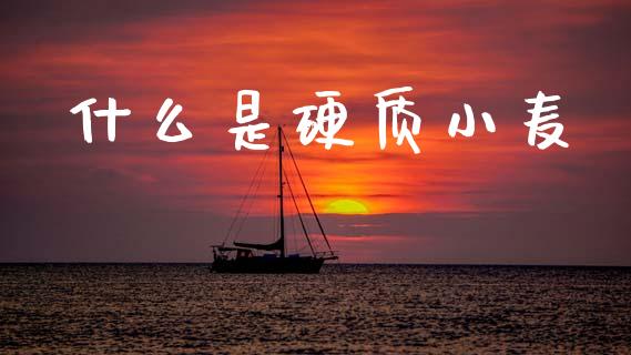 什么是硬质小麦_https://www.fsyjjx.cn_股指期货_第1张