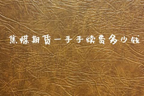 焦煤期货一手手续费多少钱_https://www.fsyjjx.cn_期货资讯_第1张