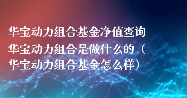 华宝动力组合基金净值查询华宝动力组合是做什么的（华宝动力组合基金怎么样）_https://www.fsyjjx.cn_理财资讯_第1张
