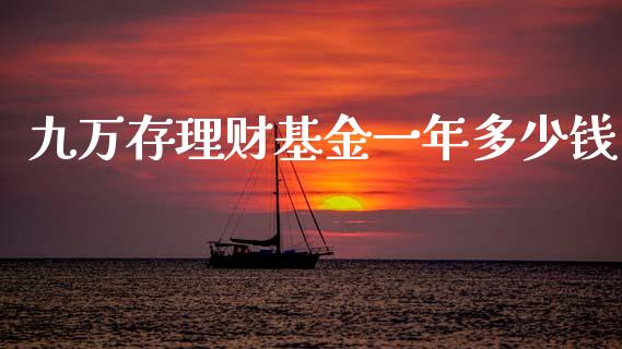 九万存理财基金一年多少钱_https://www.fsyjjx.cn_理财资讯_第1张