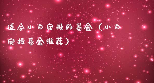 适合小白定投的基金（小白定投基金推荐）_https://www.fsyjjx.cn_问财精选_第1张
