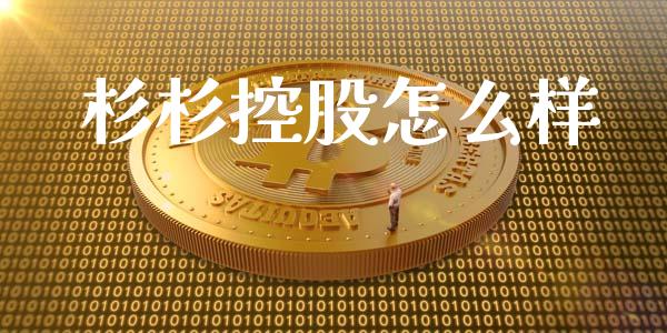 杉杉控股怎么样_https://www.fsyjjx.cn_股市分析_第1张