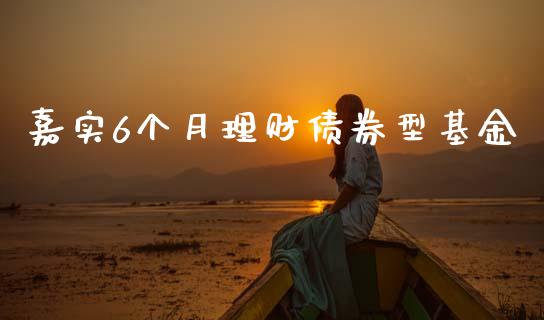 嘉实6个月理财债券型基金_https://www.fsyjjx.cn_理财资讯_第1张
