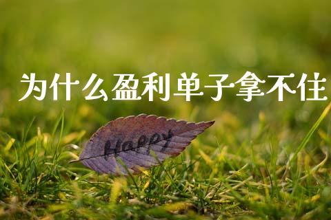 为什么盈利单子拿不住_https://www.fsyjjx.cn_问财精选_第1张