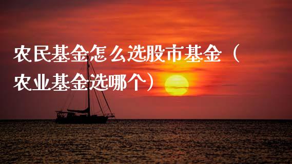 农民基金怎么选股市基金（农业基金选哪个）_https://www.fsyjjx.cn_理财资讯_第1张