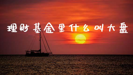 理财基金里什么叫大盘_https://www.fsyjjx.cn_问财精选_第1张