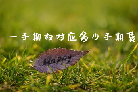 一手期权对应多少手期货_https://www.fsyjjx.cn_期货研报_第1张