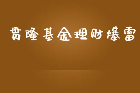 贯隆基金理财爆雷_https://www.fsyjjx.cn_问财精选_第1张