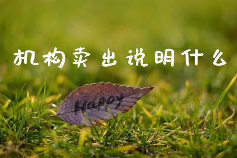 机构卖出说明什么_https://www.fsyjjx.cn_期货研报_第1张
