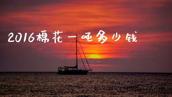 2016棉花一吨多少钱_https://www.fsyjjx.cn_理财资讯_第1张