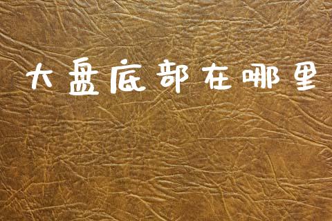 大盘底部在哪里_https://www.fsyjjx.cn_期货研报_第1张