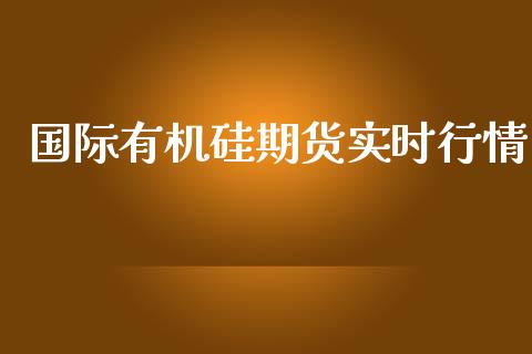 国际有机硅期货实时行情_https://www.fsyjjx.cn_期货研报_第1张