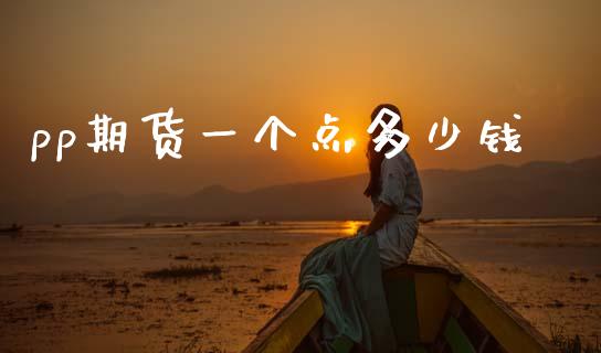 pp期货一个点多少钱_https://www.fsyjjx.cn_期货研报_第1张