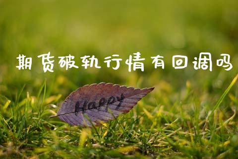 期货破轨行情有回调吗_https://www.fsyjjx.cn_期货研报_第1张