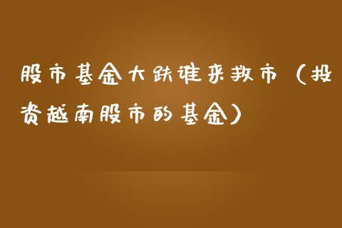 股市基金大趺谁来救市（投资越南股市的基金）_https://www.fsyjjx.cn_问财精选_第1张