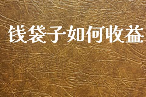钱袋子如何收益_https://www.fsyjjx.cn_理财资讯_第1张