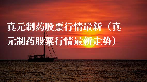 真元制药股票行情最新（真元制药股票行情最新走势）_https://www.fsyjjx.cn_股市分析_第1张