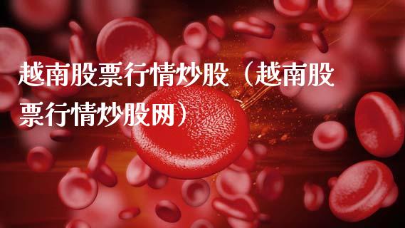 越南股票行情炒股（越南股票行情炒股网）_https://www.fsyjjx.cn_股票指导_第1张