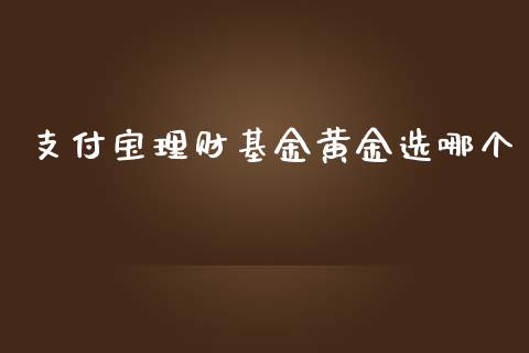 支付宝理财基金黄金选哪个_https://www.fsyjjx.cn_问财精选_第1张
