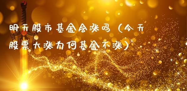 明天股市基金会涨吗（今天股票大涨为何基金不涨）_https://www.fsyjjx.cn_理财资讯_第1张