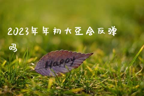 2023年年初大豆会反弹吗_https://www.fsyjjx.cn_期货研报_第1张