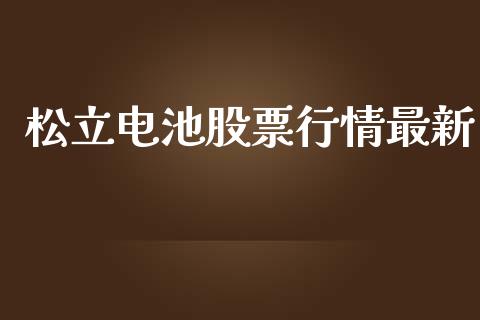 松立电池股票行情最新_https://www.fsyjjx.cn_股票指导_第1张